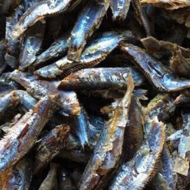 Оптовая продажа свежих морепродуктов | Сельдь на пару и сушка