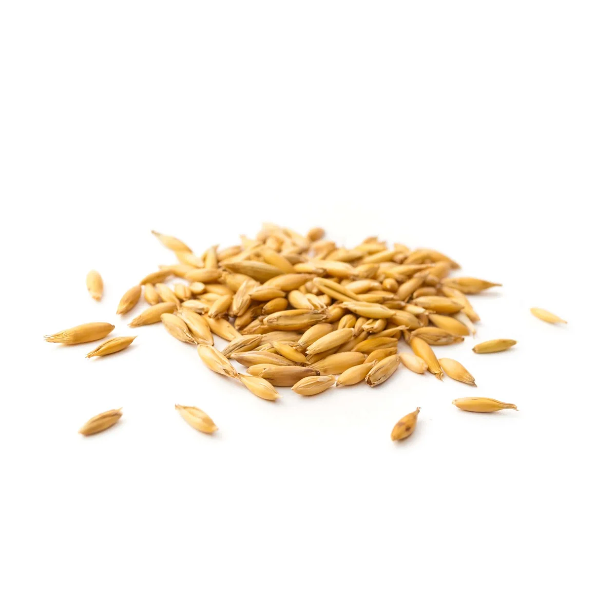 Hot selling raw oats grain manufacturer price grains and oil seeds for sale