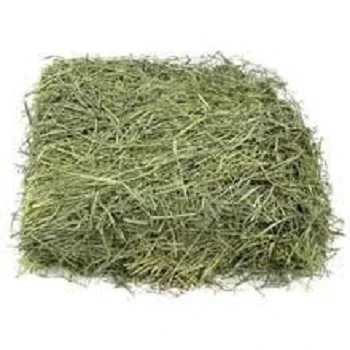 Quality Animal Feed Alfafa Hay for Animal Feeding Stuff Alfalfa