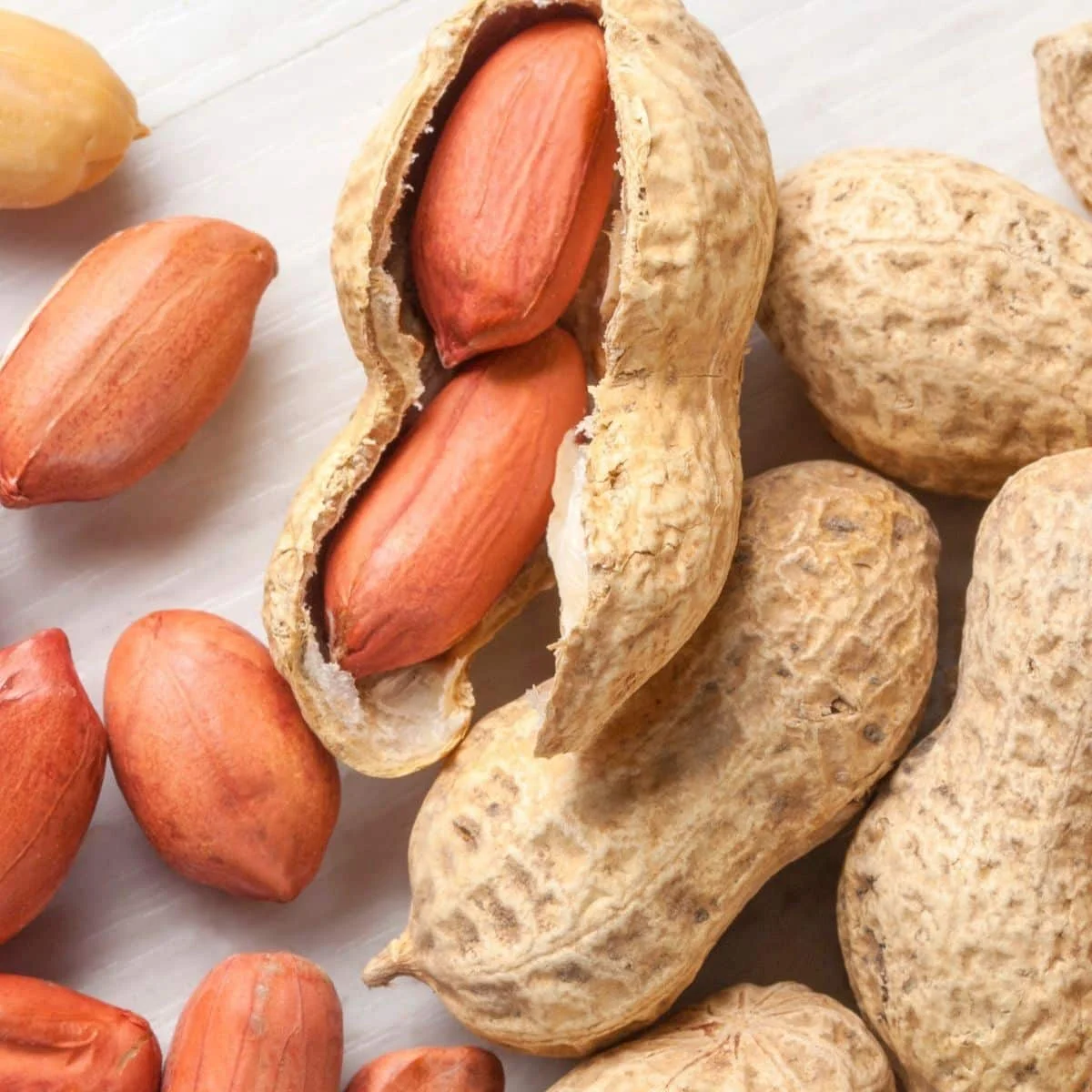 Премиум класс nutrion дорожный арахиса