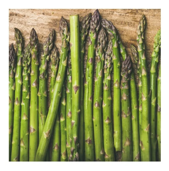Top Quality Fresh Vegetables Asparagus For Sale At Best Price