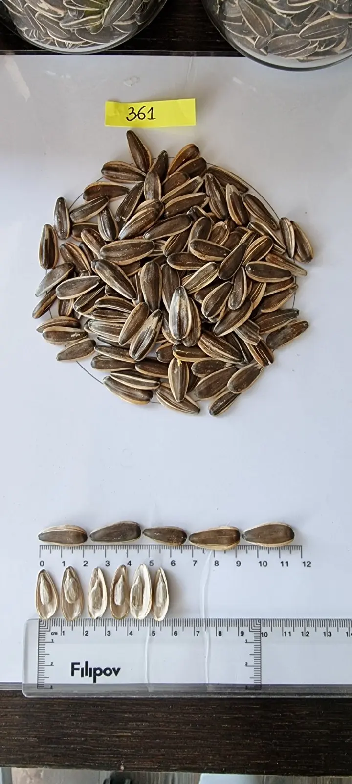 BREVIS Sunflower seeds Food & Beverage Snacks Nut & Kernel Snacks Roasted sunflower seeds Bulgarian origin