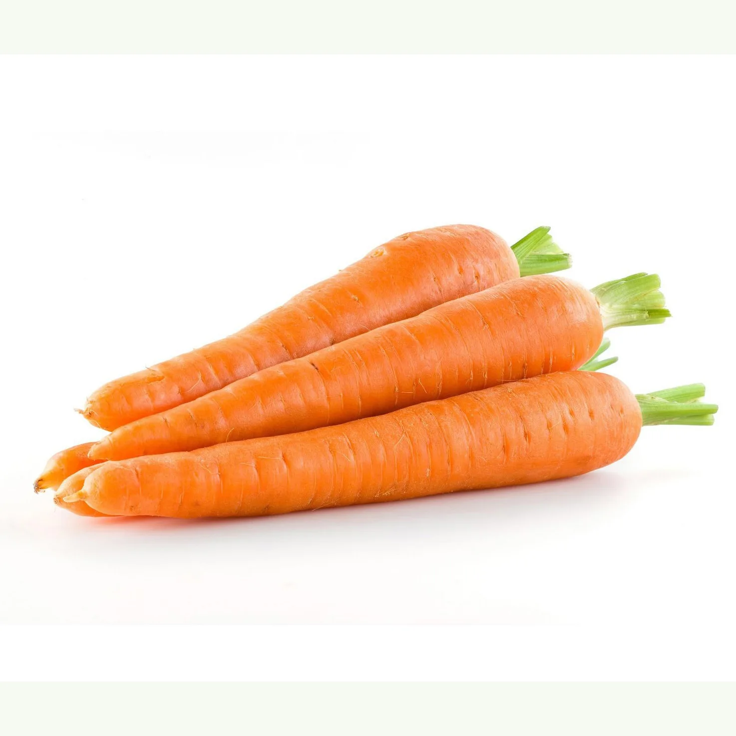 Excellent and Super Fresh Carrot  Fresh Vegetables Common Cultivation Export quality orange Natural sweet Fresh Carrot