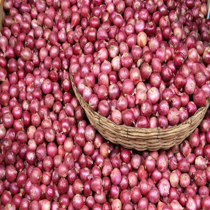 2023 New Crop Fresh Red Onion Price High Quality Natural Onions