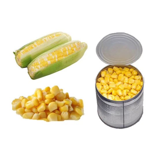 Best Price Freshly Packed Canned Whole Kernel Sweet Corn for Convenient Meal Preparation