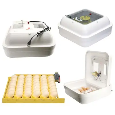 Brand New Automatic Digital Egg Incubator With 3 Years Warranty USA Distributor LED Display Automatic Egg Turning and Humidity C