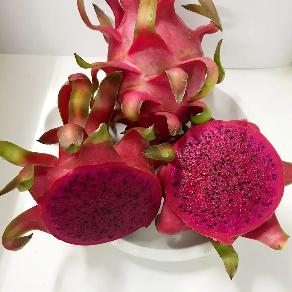 Hot Deal Cheap Price Natural Sweet Red and White Fresh Dragon Fruit Competitive Price Ready Export - ANNA DO WA+84982153058