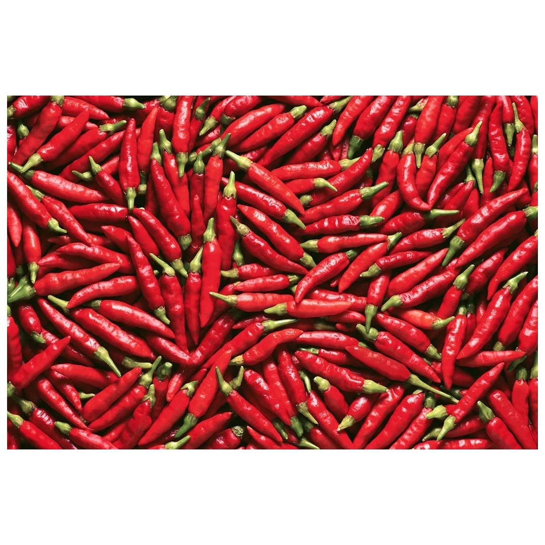 Cheap Price High Quality Natural Dry Red Hot Chili Wholesale Chili Pepper Seeds For Sale In bulk