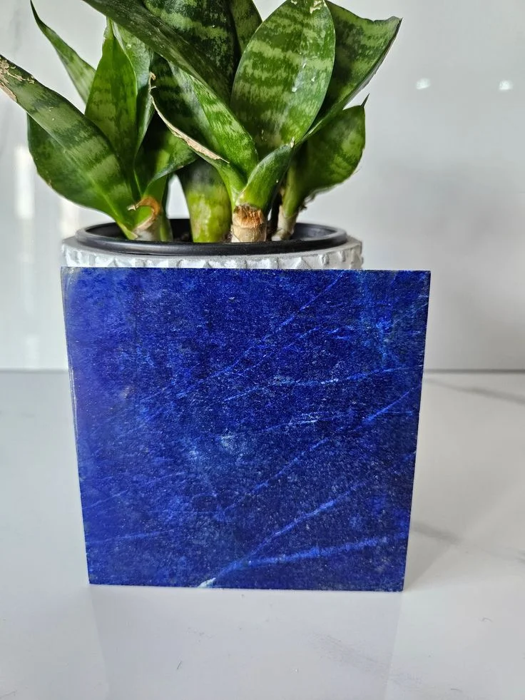 Best Quality Natural Lapis Lazuli Tile Home Decor Premium Gemstone Material for Unique Design
