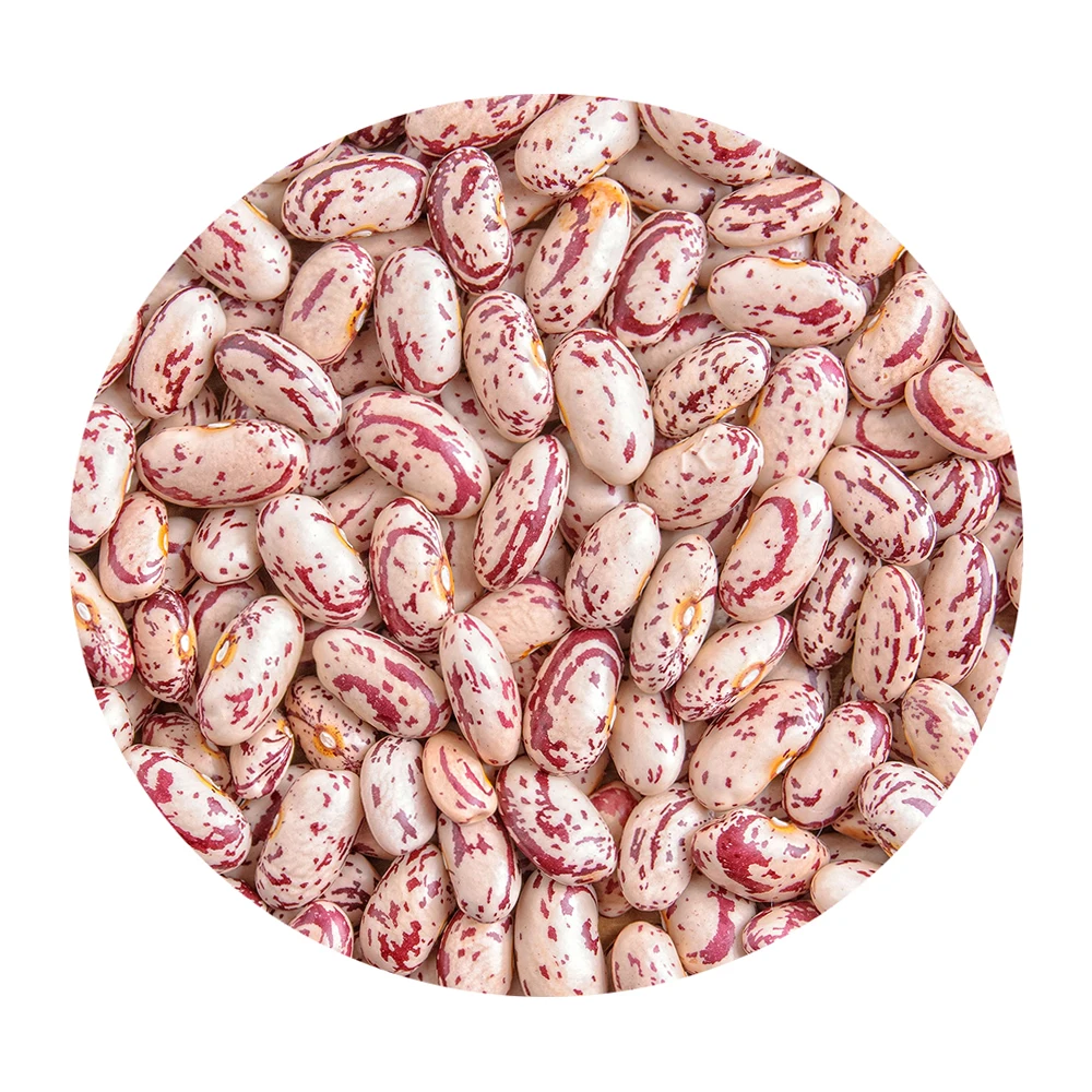 Non-GMO High Grade Natural Bulk Dried Speckled Kidney Beans from Uzbekistan Dry Speckled Beans for Food