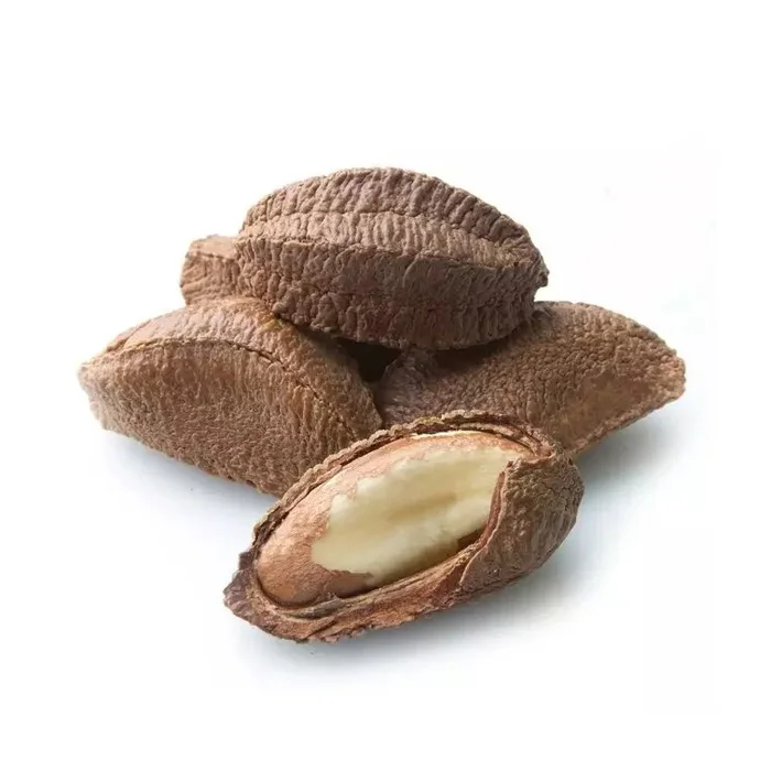 Brazil Nuts Natural Raw Nuts Shelled Mix with Medium Large and Extra Large Sizes Roasted Nuts Edible