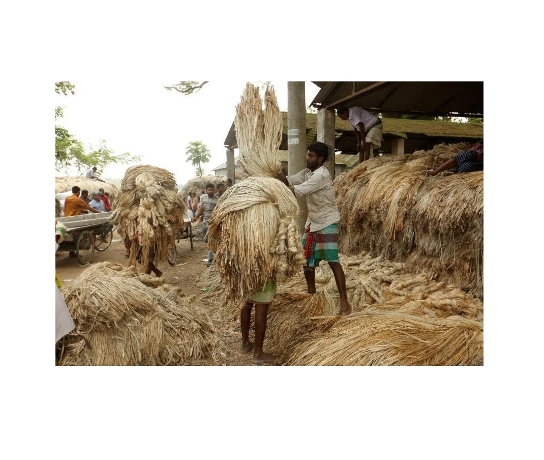 Standard Quality Wholesale Export Oriented Excellent Quality Low Price 100% Jute Nature Color Raw Jute Fiber From Bangladesh