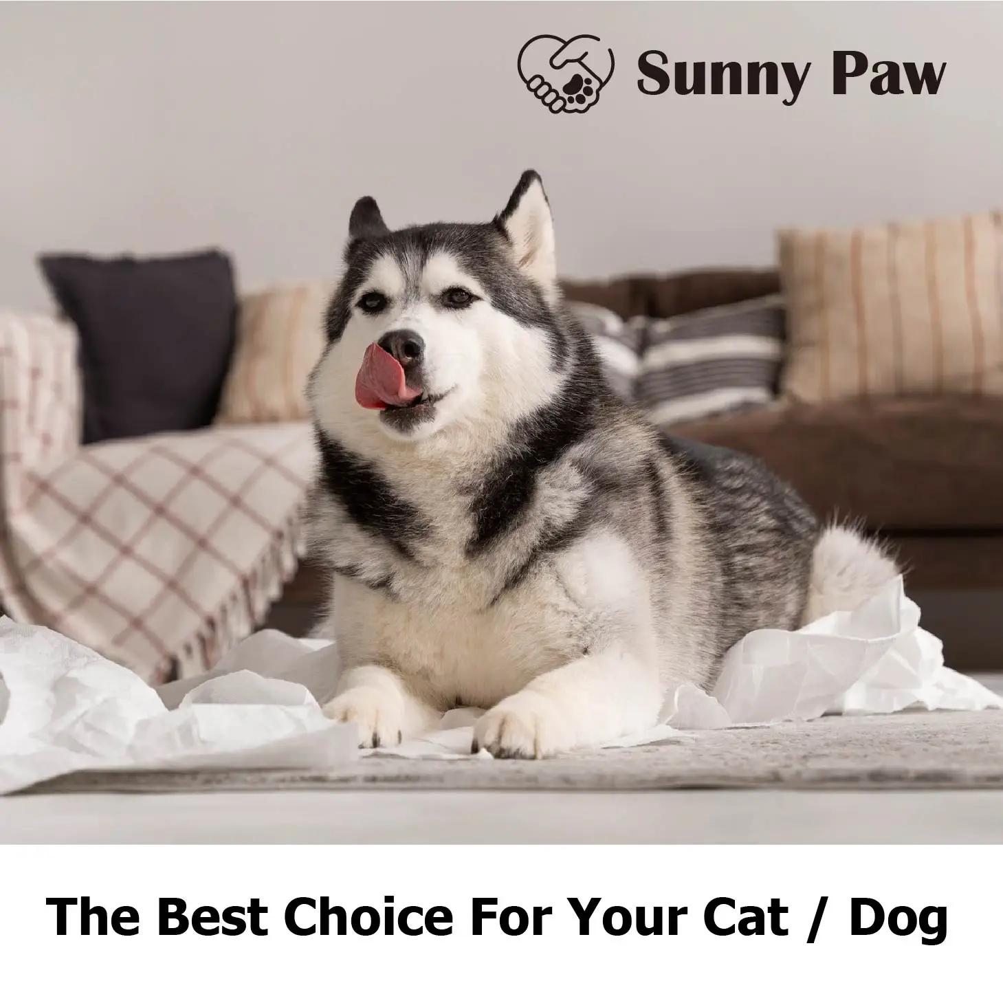 Manufacturer produces delicious natural snacks pet food easy to chew sweet potato chicken multivitamin