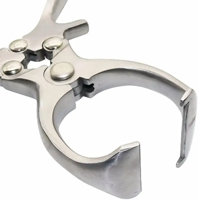 Castration Pliers, Livestock Tools, Stainless Steel Pig Sheep Castration Clamp Castration Tool Castration Forceps