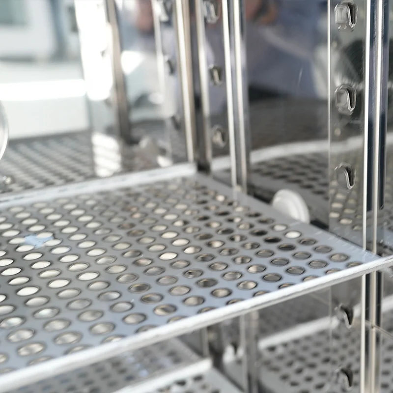 BIOBASE, Китай, лабораторный инкубатор с контролем влажности и температуры BJPX-HT100B