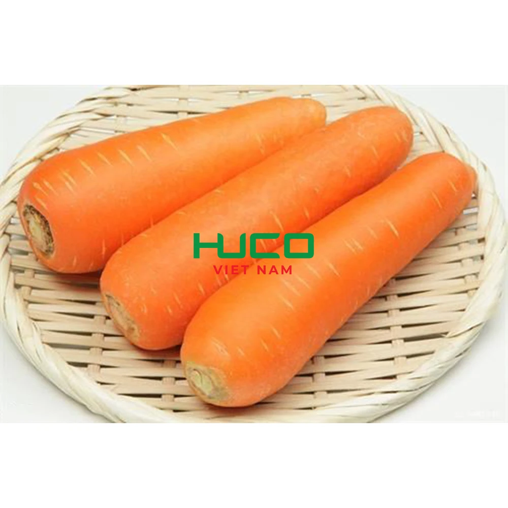 High Quality Fresh Vegetables Common Cultivation orange Natural sweet Fresh Carrot