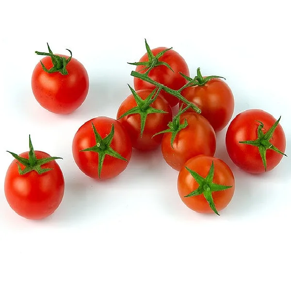 Fresh Beef Tomato, Cherry Tomato, Fresh Plum Tomatoes for Sale Hot selling Fresh Quality Tomato for Export Market
