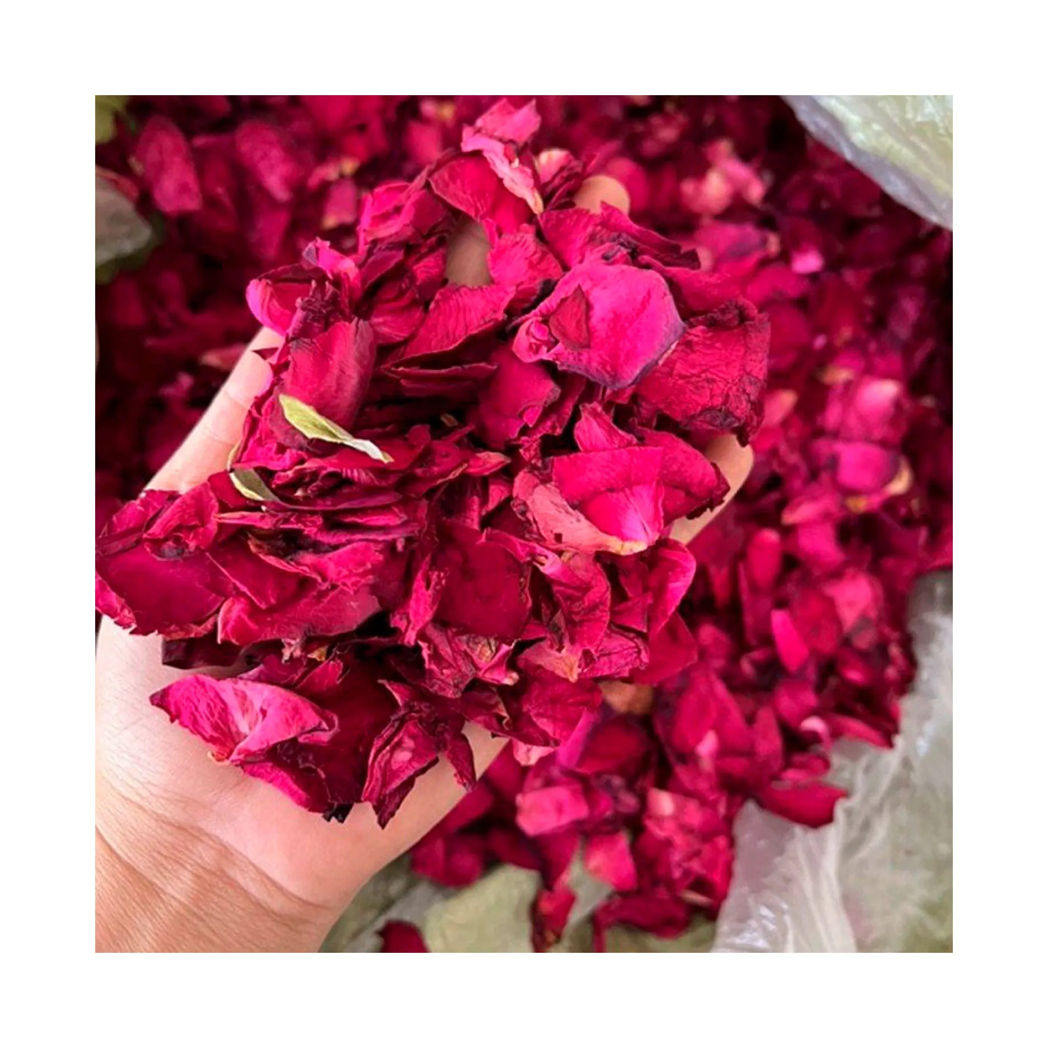 High Quality Natural Dried Rose Tea Edible Rose Petals for Tea or Baking/ Dry Rose Buds For Wedding And Bathing 99 Gold Data