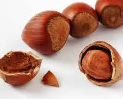 Natural Premium Quality Hazelnut