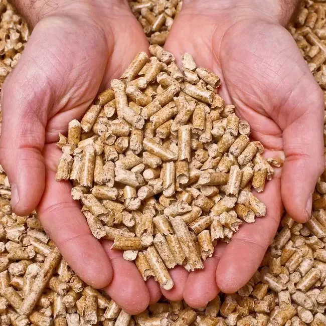 Good Quality Competitive Price Eco-Friendly solid fuel Wood Pellets