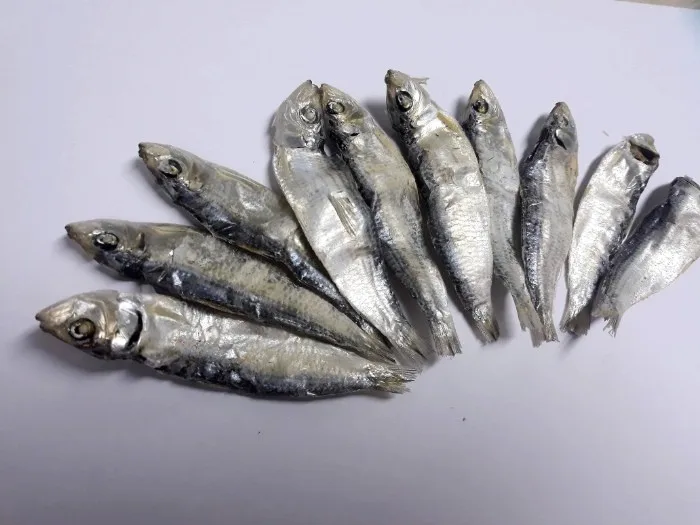 The best seller 100% Natural Dried Herring - Top quality Vietnam Seafood with the best price