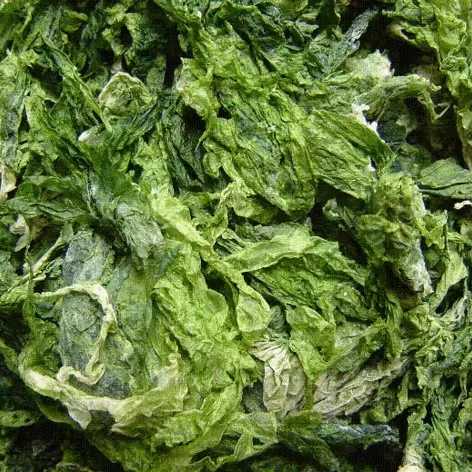 Dried Ulva Lactuca/ Green Seaweed/ Sea Lettuce Seaweed sea moss natural green color good price  premium quality from Vietnam