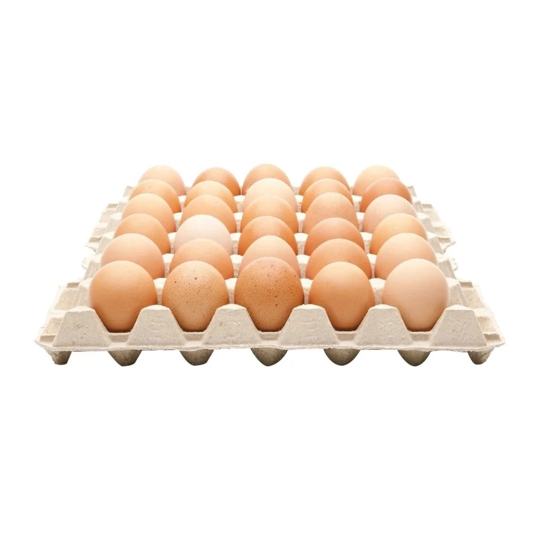 Best Quality Fresh Brown Table Chicken Eggs