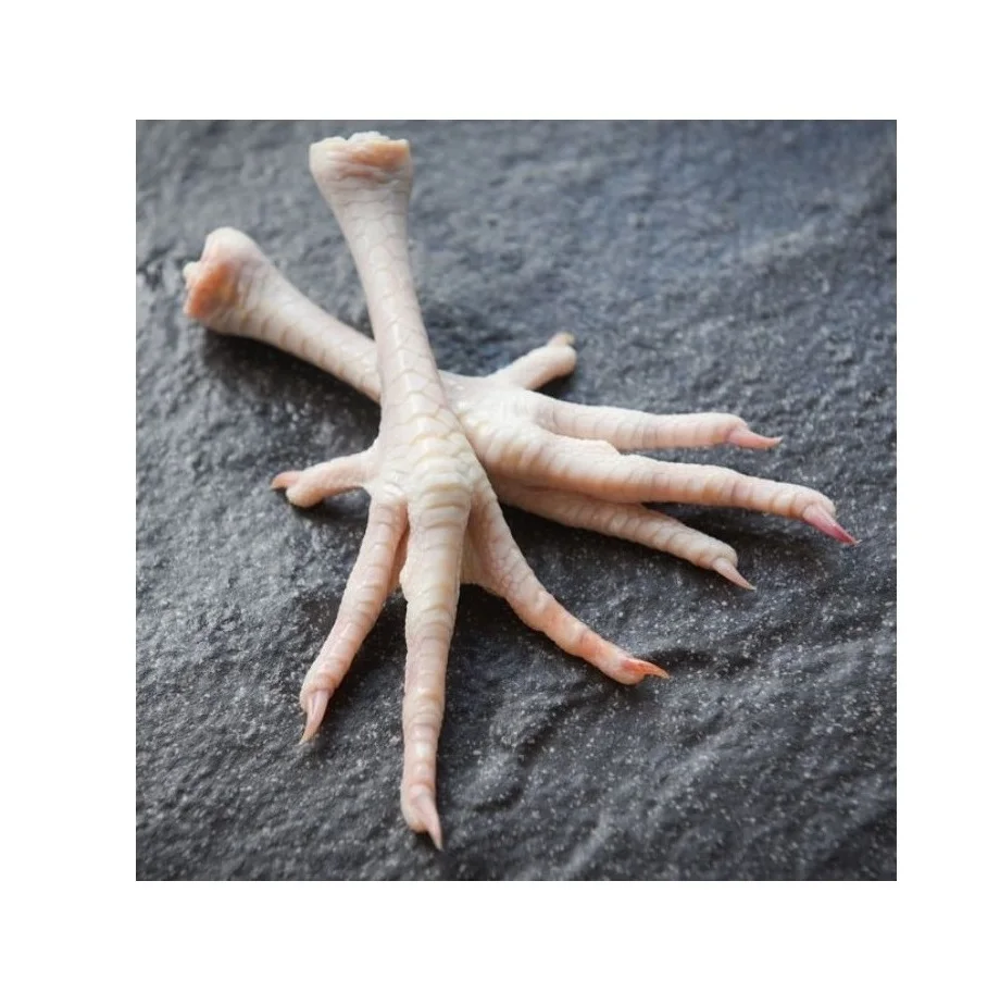 Frozen Chicken Paws at Wholesale Price - Direct from Factory