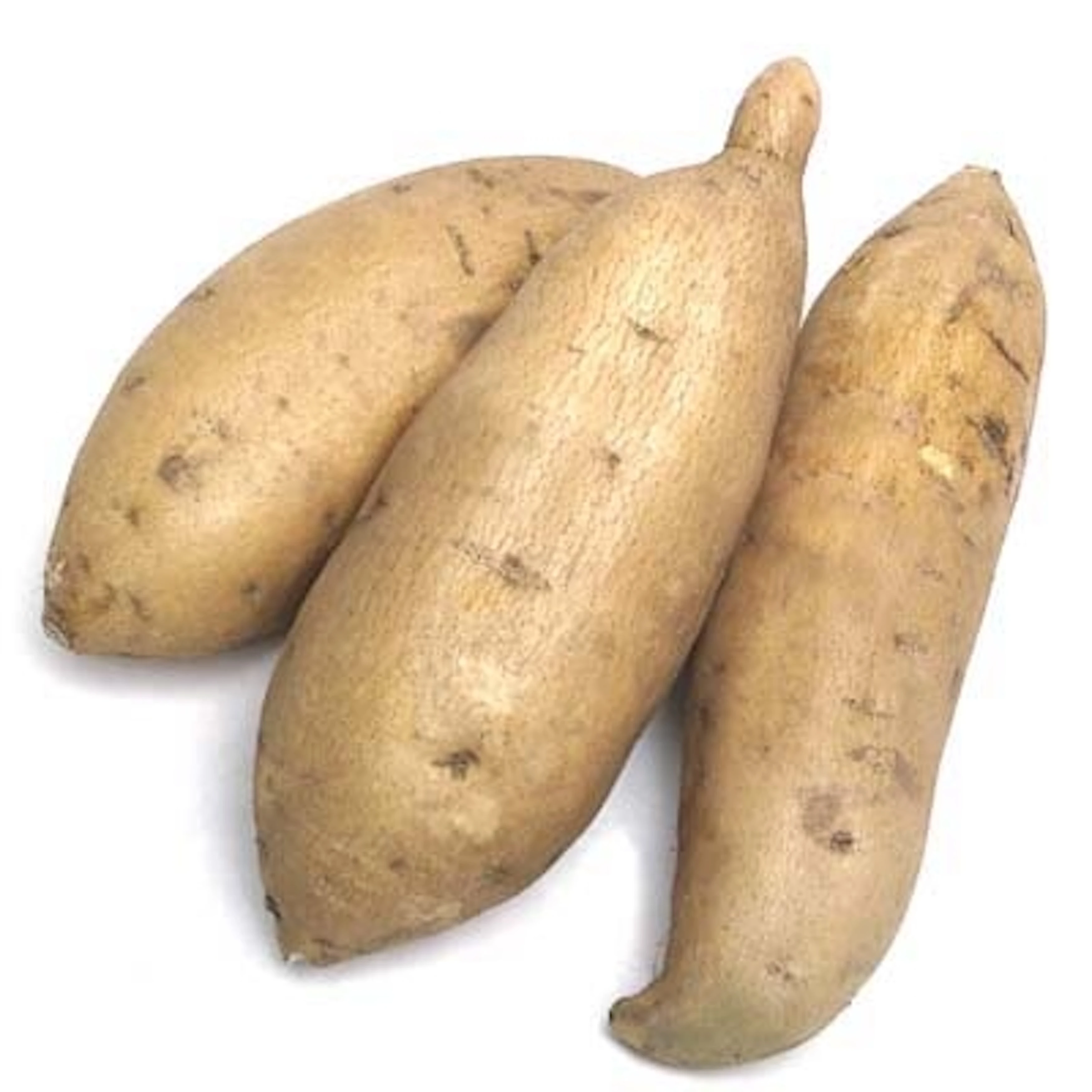 Organic Fresh Potatoes High Quality For Sales