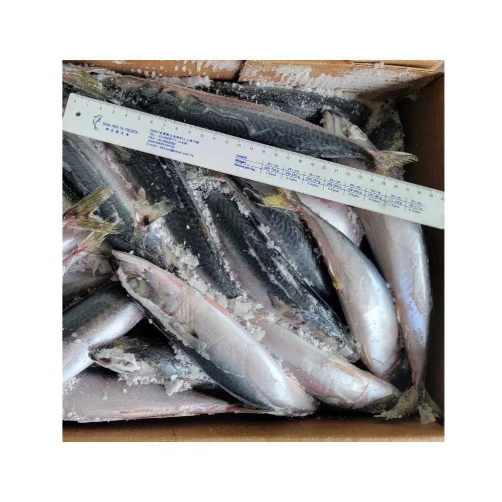 Frozen Pacific Mackerel