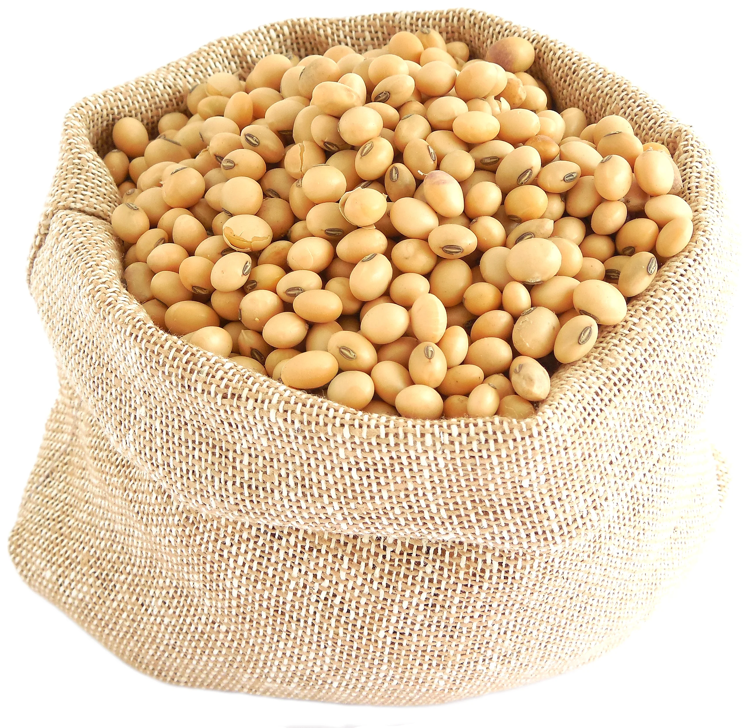 Organic Non-GMO Soybean High Quality Yellow Soybean for Animal Feed Fresh and Dried Direct Bulk Wholesale