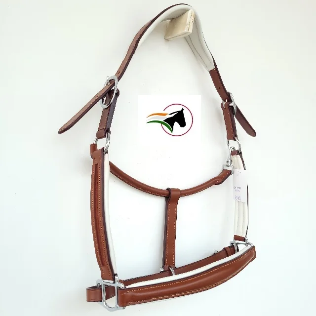 SPORTS HORSE HALTER HEAD COLLAR WITH CONIC SHAPE NOSE PIECE AND SUPERIOR QUALITY BLACK HARDWARE AND SUPER SOFT PADDED