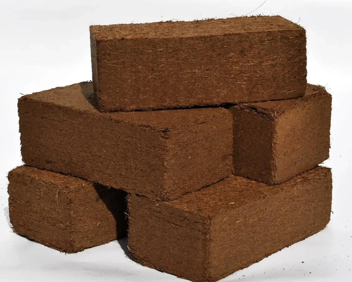 Оптовая продажа Кокосовая кокоса кирпичи 5 кг блок из Индии