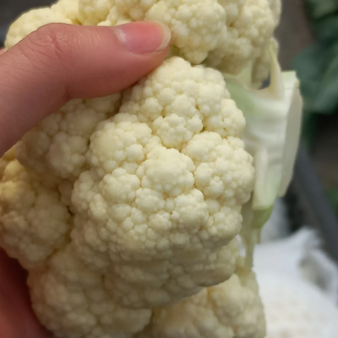 Cauliflower Frozen, New season, Egyptian origin, quality 99% Natural 100%, Color White, Human consumption Now