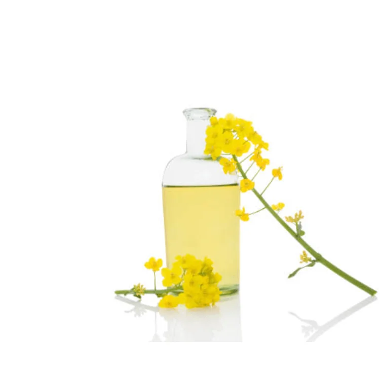 France Exporter of Latest Quality 100% Pure Refined Edible Rapeseed Oil/Canola Oil at Finest Range