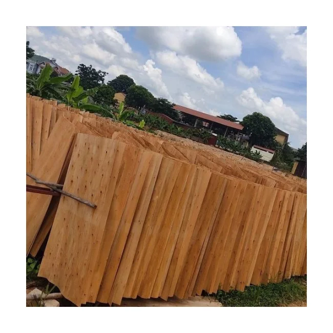 Export Large Quantity Of Veneers Core Eucalyptus Wood Hard Wooden Veneer Core Eucalyptus From Vietnam