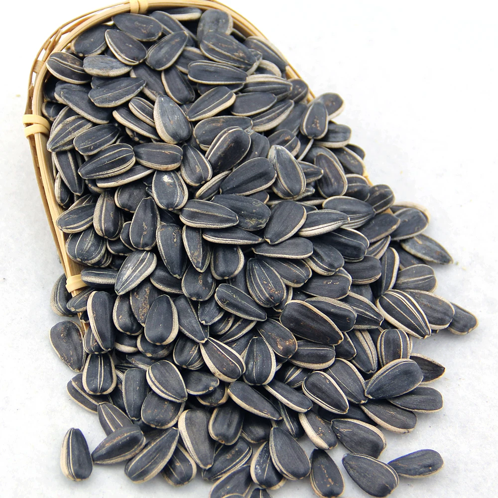 Sunflower-Seeds-6.jpg