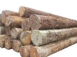 100% Pure Timber Logs Teak Wood / Oak Wood Logs / Pine Wood Logs