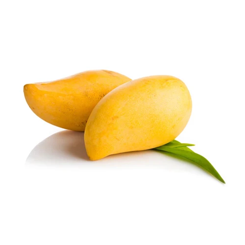 Export fresh quality Pakistani Mango Sindhri Fresh Mango from Pakistan OEM ODM customization logo for mango