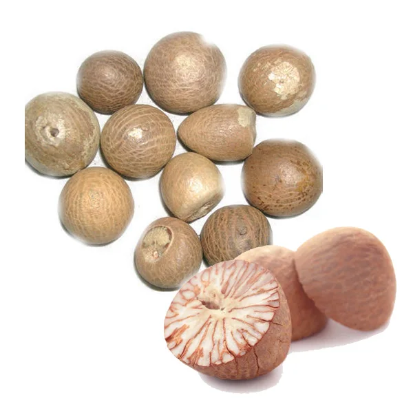 Freshly imported Betel nuts / Betel areca nut wholesale