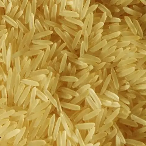 1121 Basmati golden Rice
