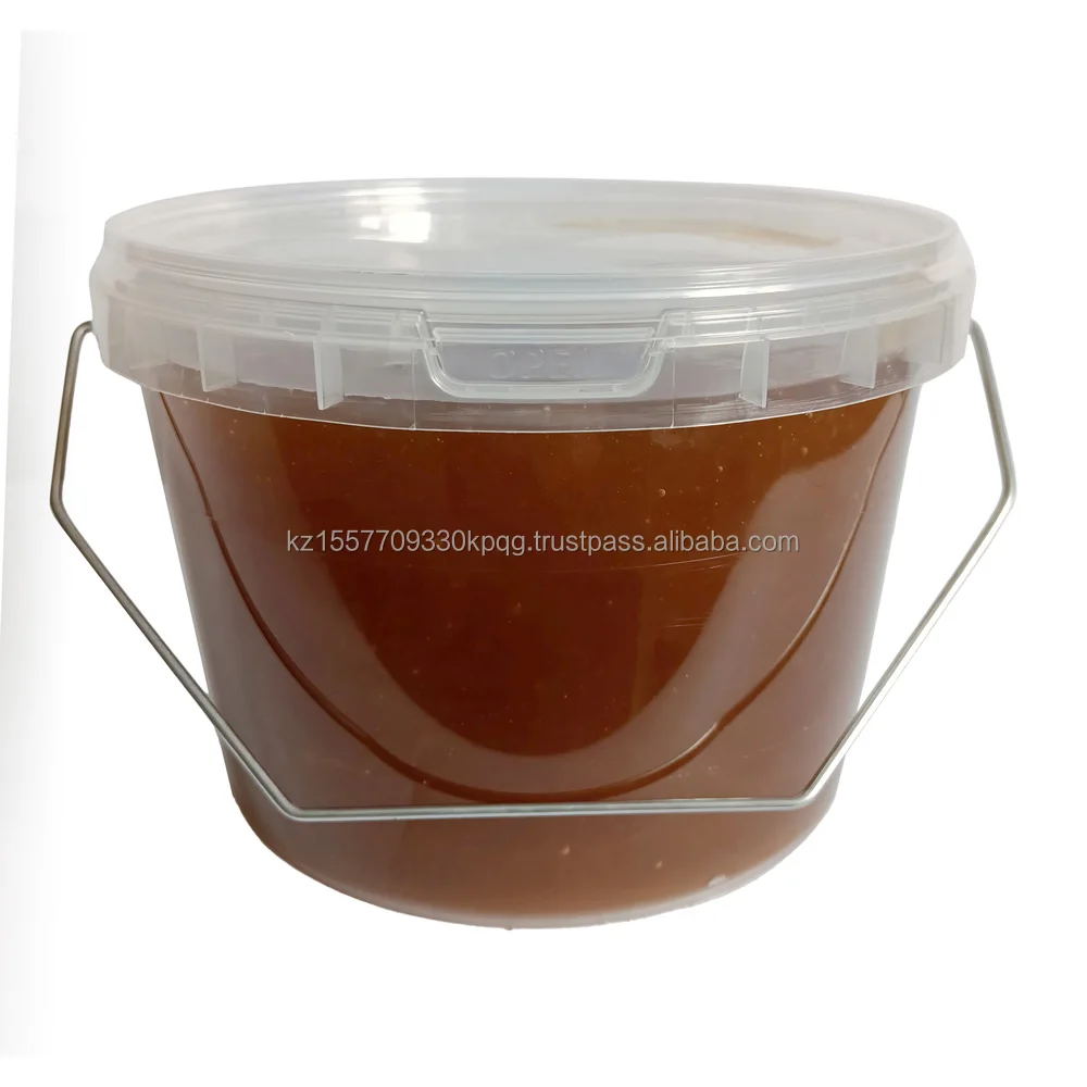 Wholesale All-purpose Natural honey 3 kg product with aroma very bright from Kazakhstan factory