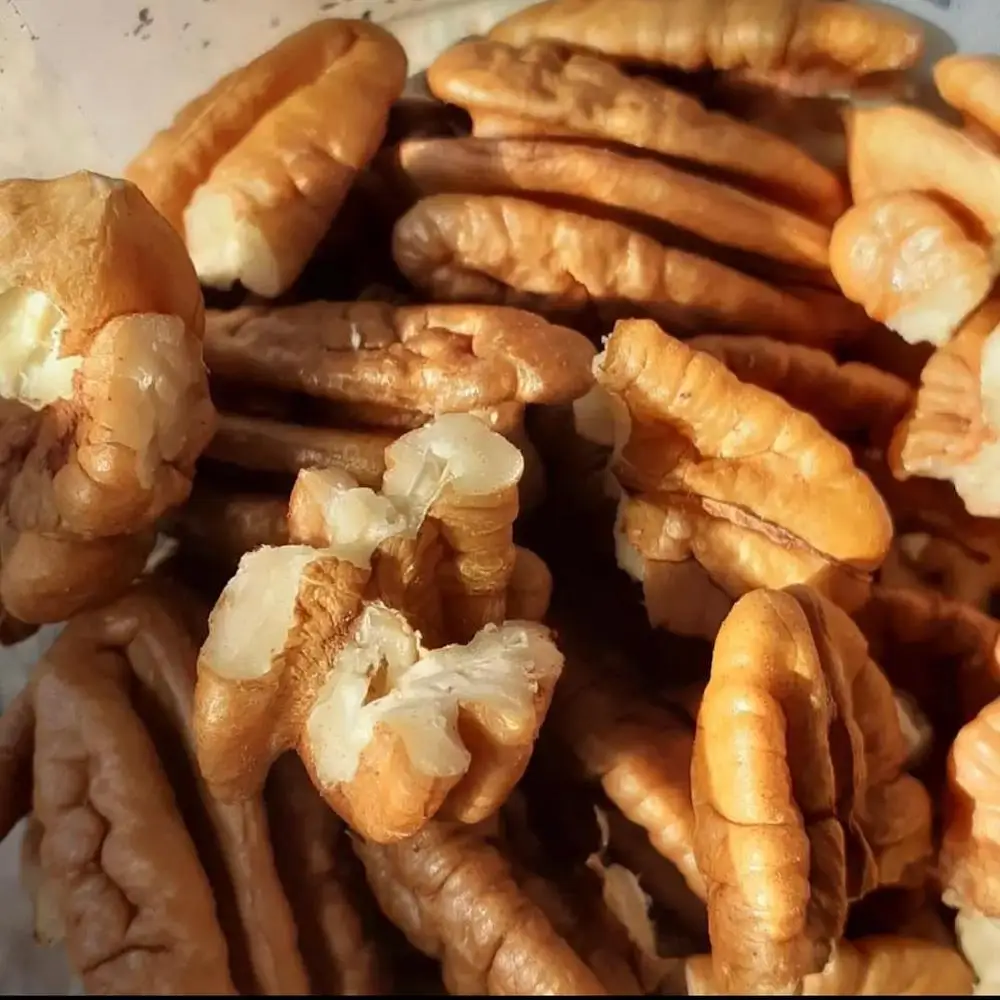 Alesto Selection Pecan Nuts Halves 500g Delicious Snack /Best Brand Pecan Nuts High In Unsaturated Fats Sale Vienna Low Price