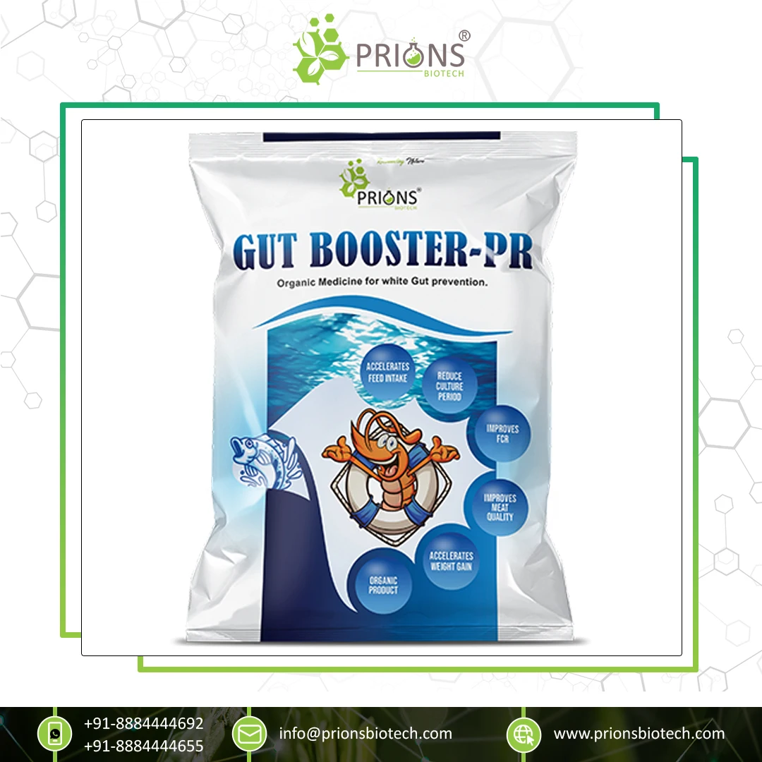 100% Efficacy Immediate Release Type Aquaculture Probiotics Gut Booster - PR for Agriculture Crops
