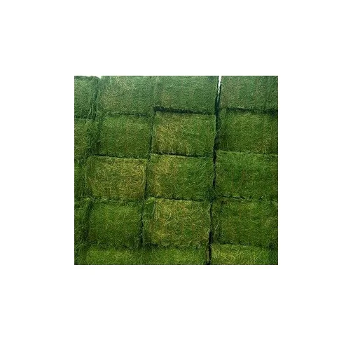 Best Price Bulk Alfalfa Hay Grass Bales For Cattle Feed
