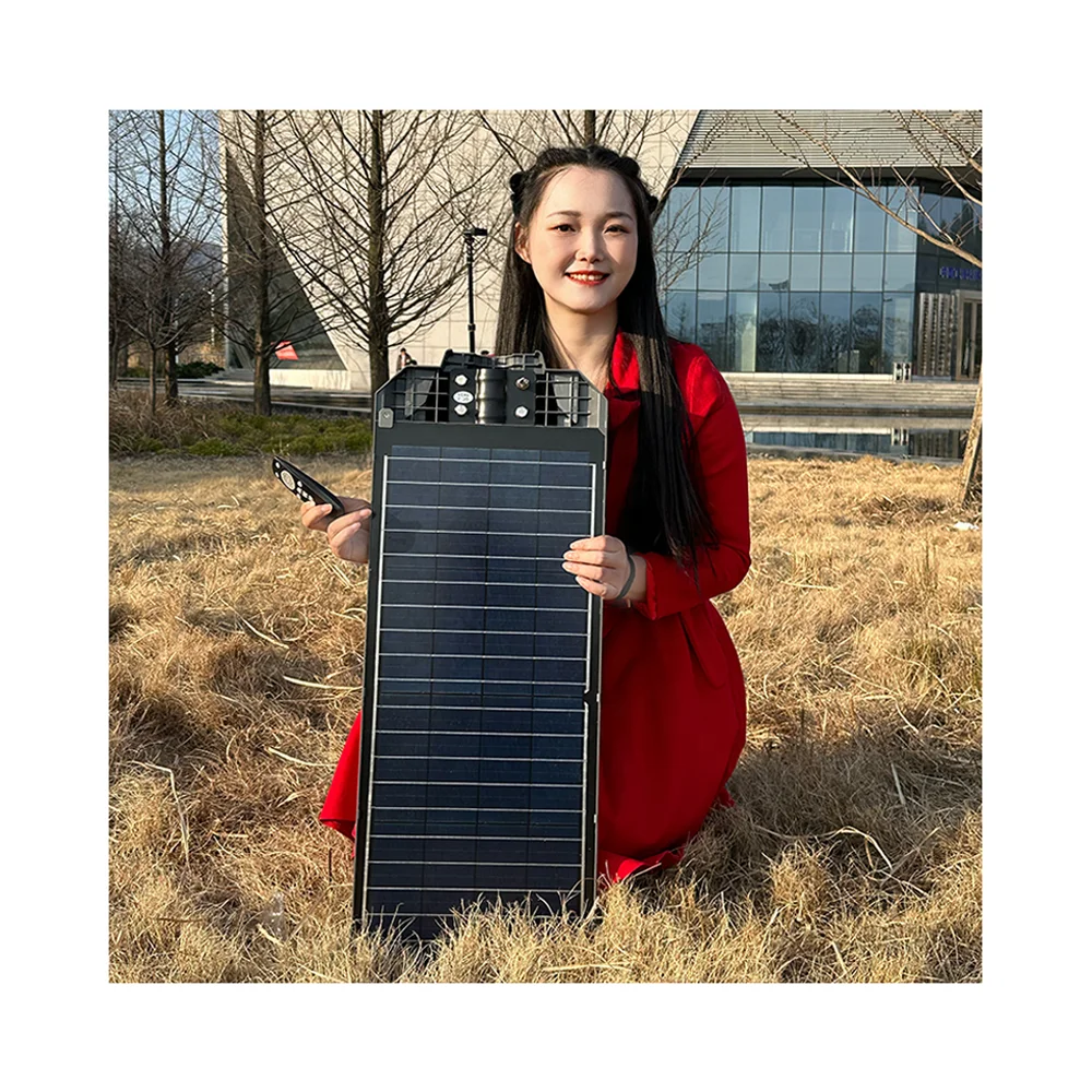 Outdoor Street Lamp Solar Panel LED Motion Sensor Security Light IP66 Rated Road Application Solar Outdoor LED Street Lights