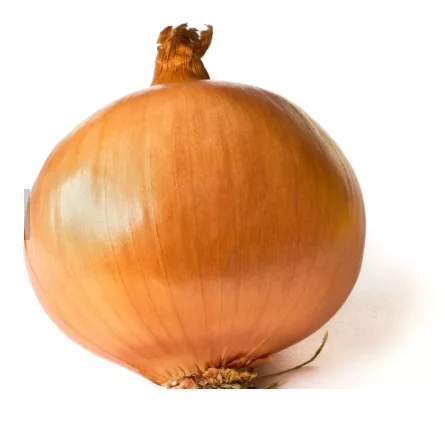 09000 (1).png
