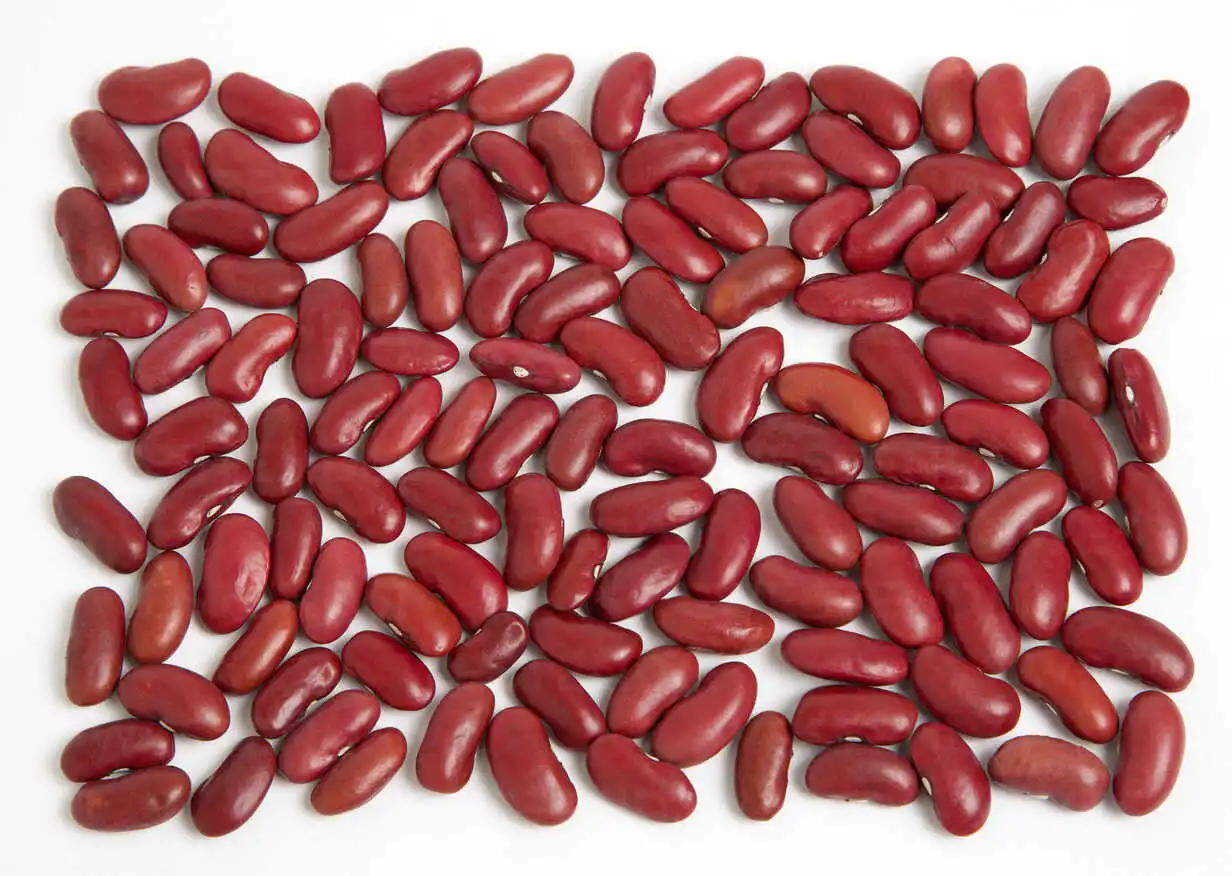 Healthy High quality Red and  White  kidney beans price for sell