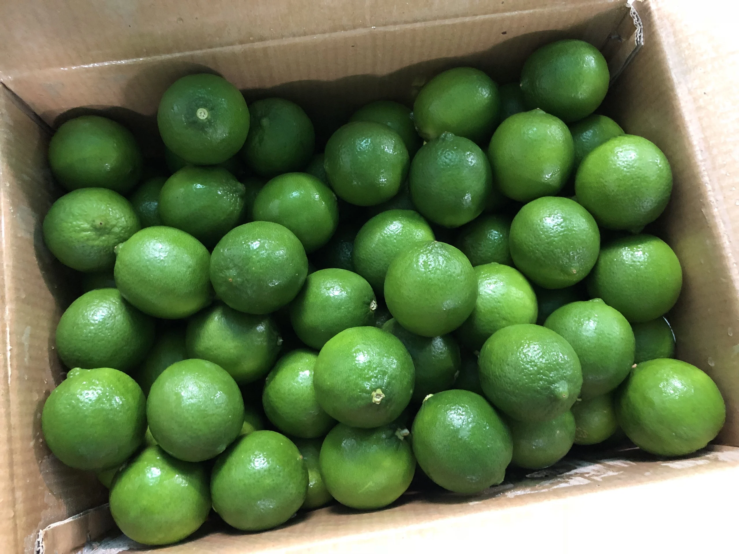 FRESH green LIME  BEST PRICE from Vietnam, call  +84963818434 whatsapp