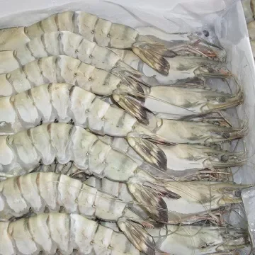 Vietnam Wholesale Raw PD Black Tiger Prawn, Fresh Seafood High quality Peeled Shrimp Black Tiger Shrimp